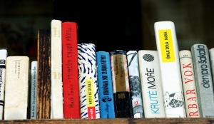 books on bookshelf